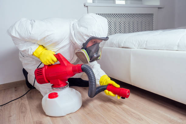 Reliable Williamsville, IL Pest Control Solutions